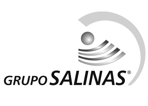Grupo-Salinas LOGO