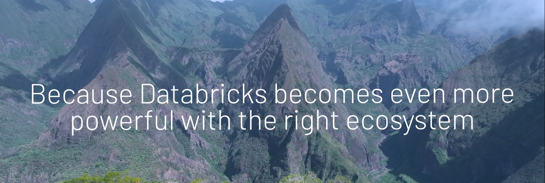 Databricks video image