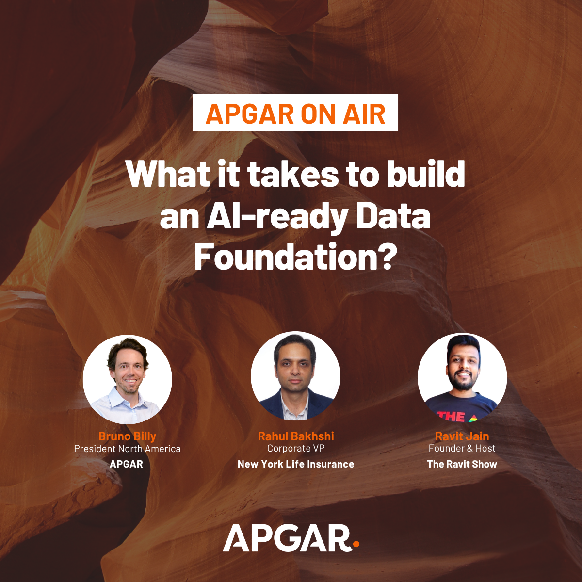 Webinar APGAR - What it takes to build an AI-ready Data Foundation sans date